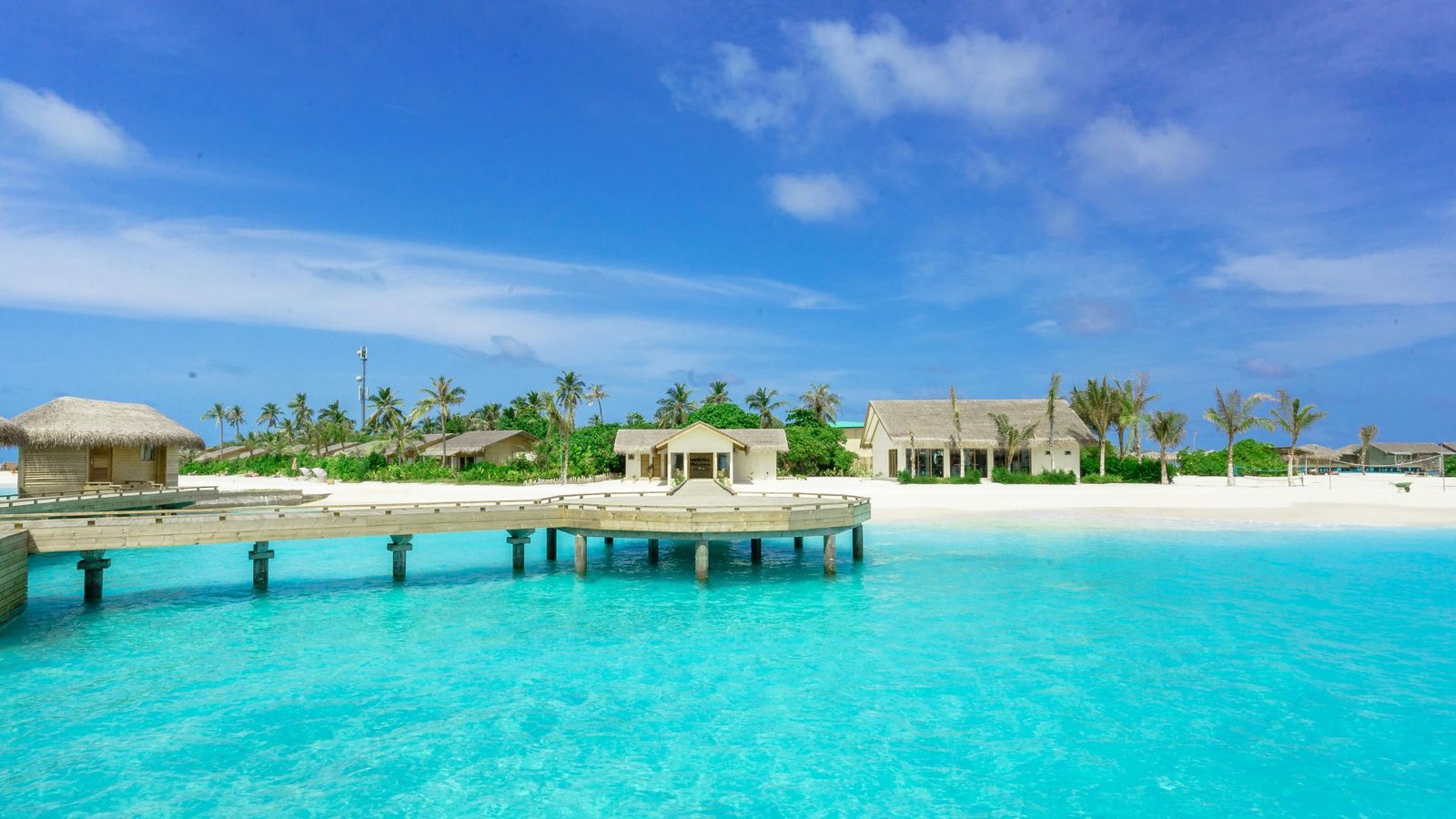 Untitled design (24)